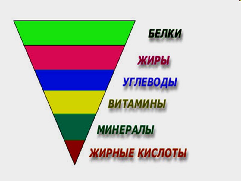 Состав пищи человека
